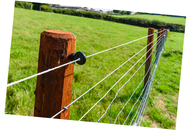 electric fence